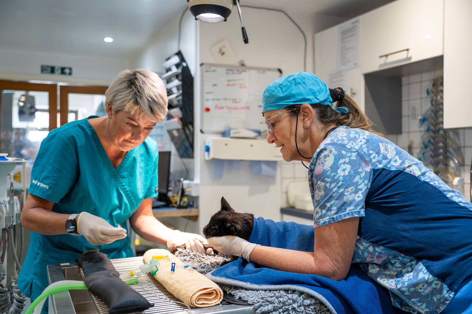 Bromyard Vets (Web) 012