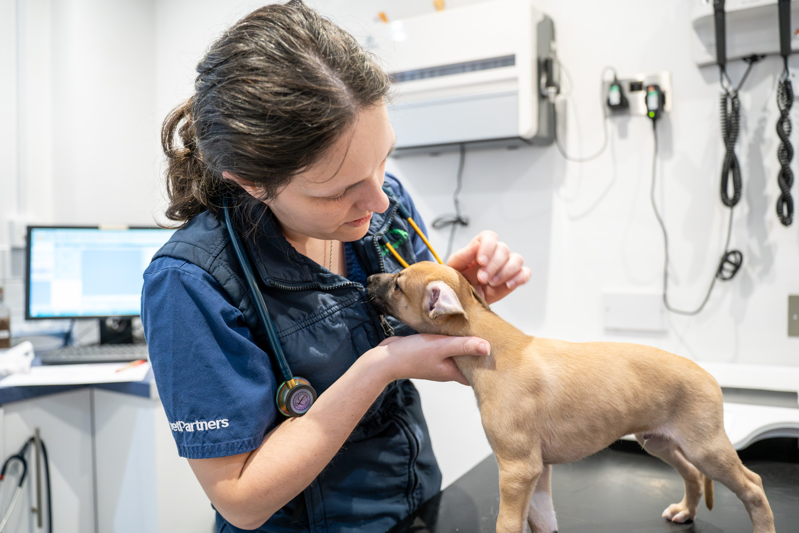 Bromyard Vets (Web) 128